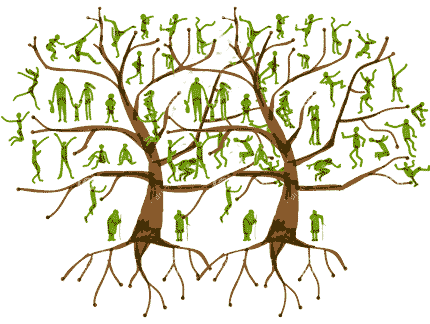 Blended-family-tree-the-life