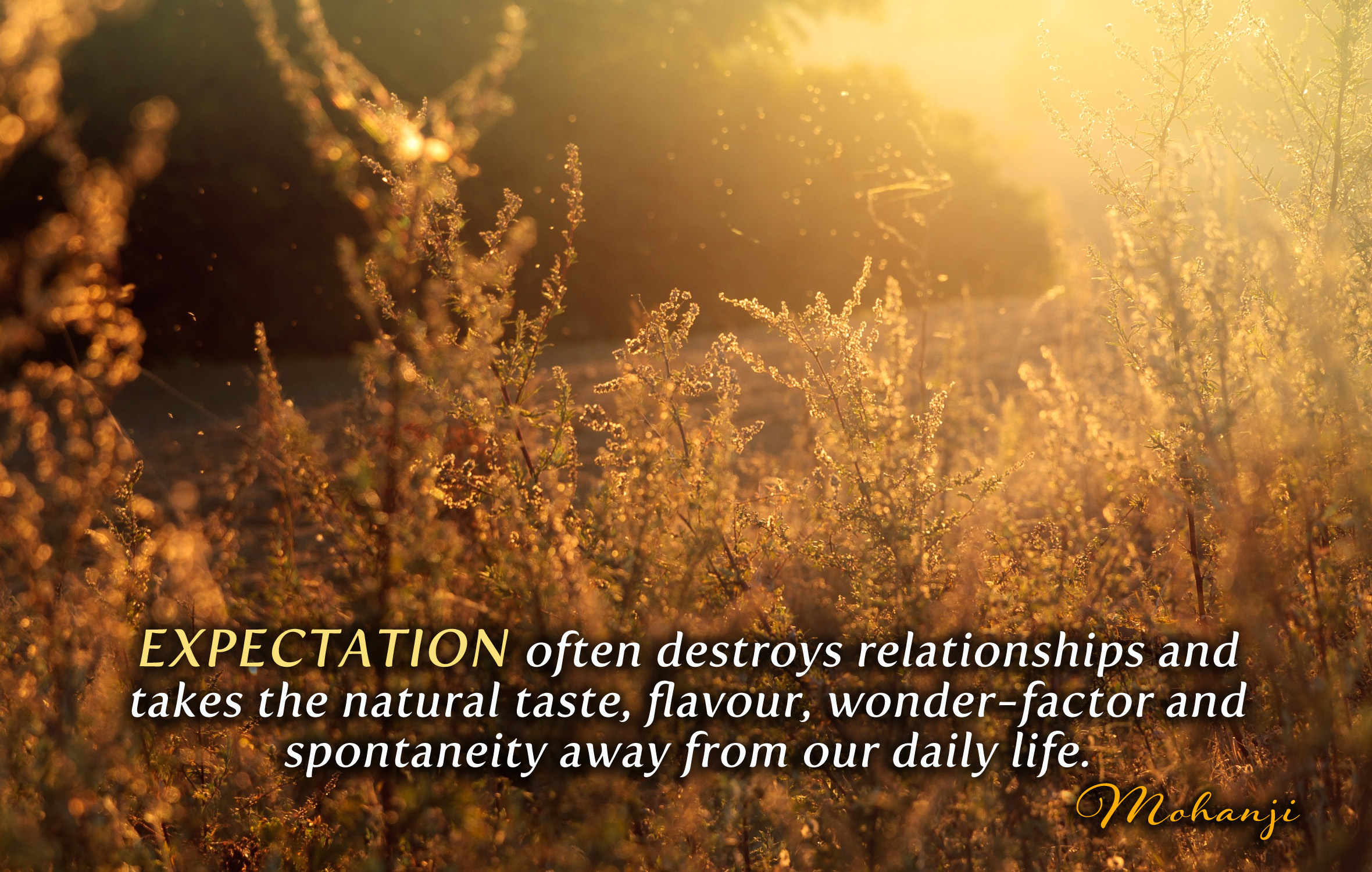 Mohanji quote - Expectation often destroys relationships