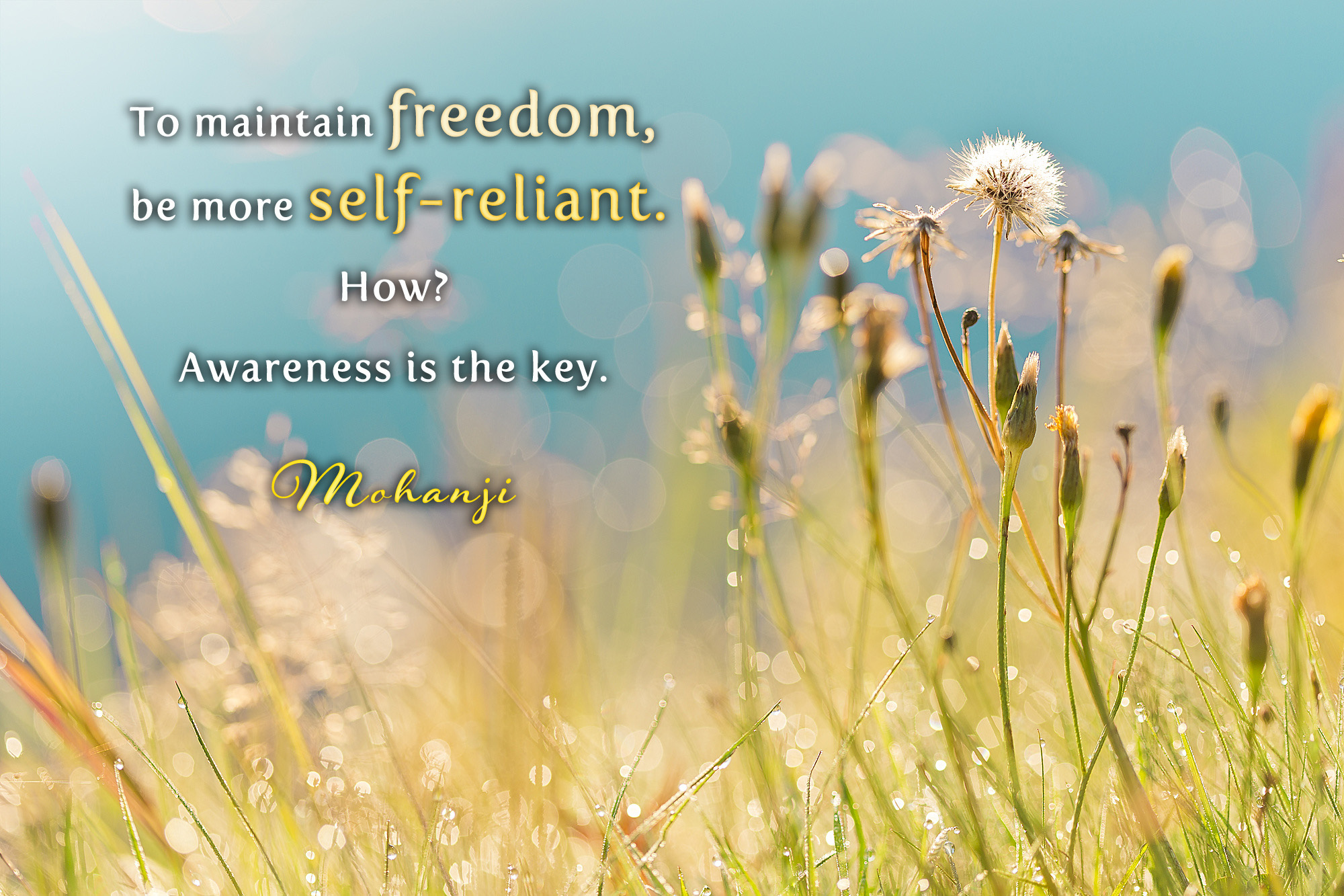 Mohanji quote - To maintain freedom, be more self-reliant
