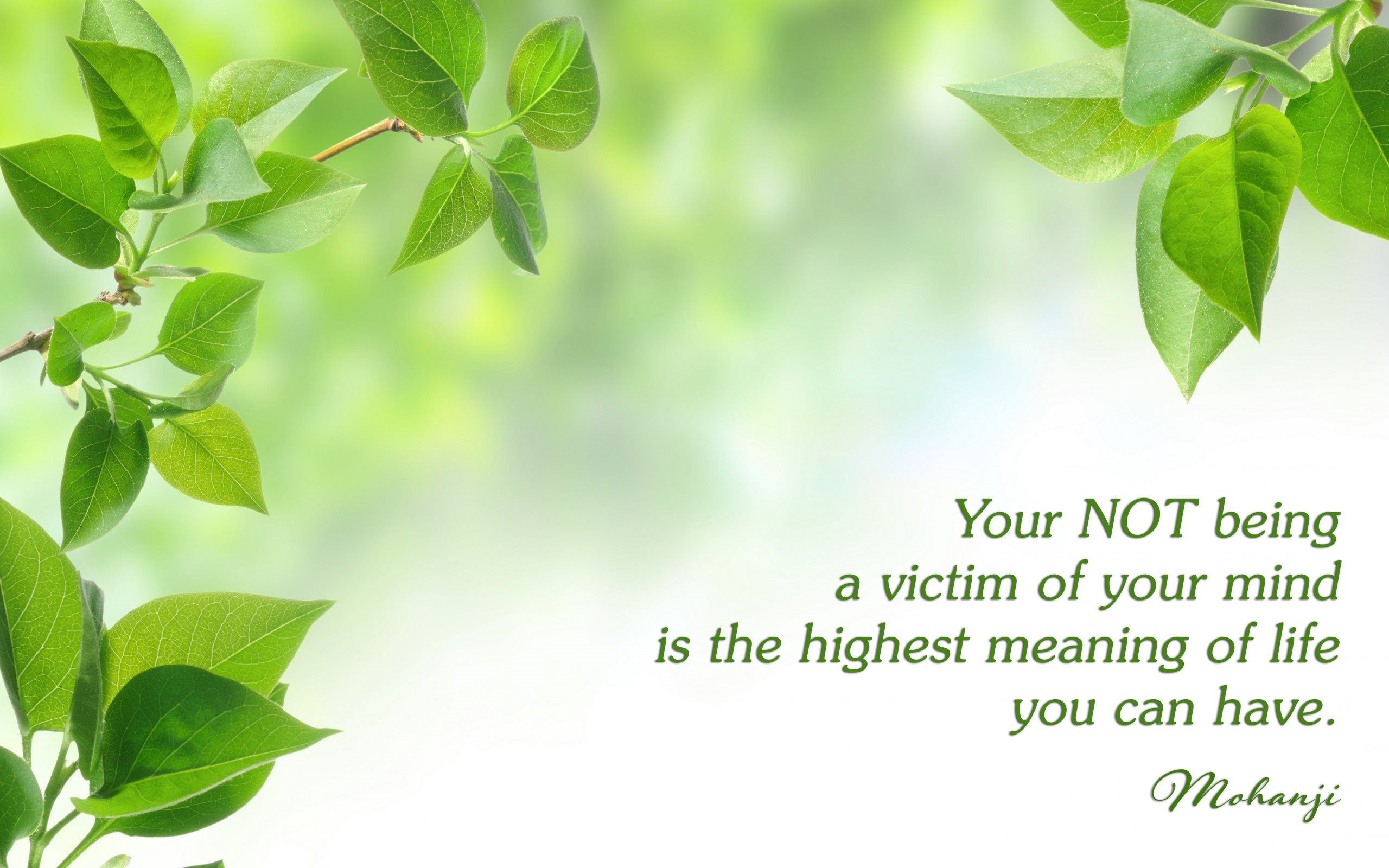 Mohanji quote - Your NOT being a victim of your mind