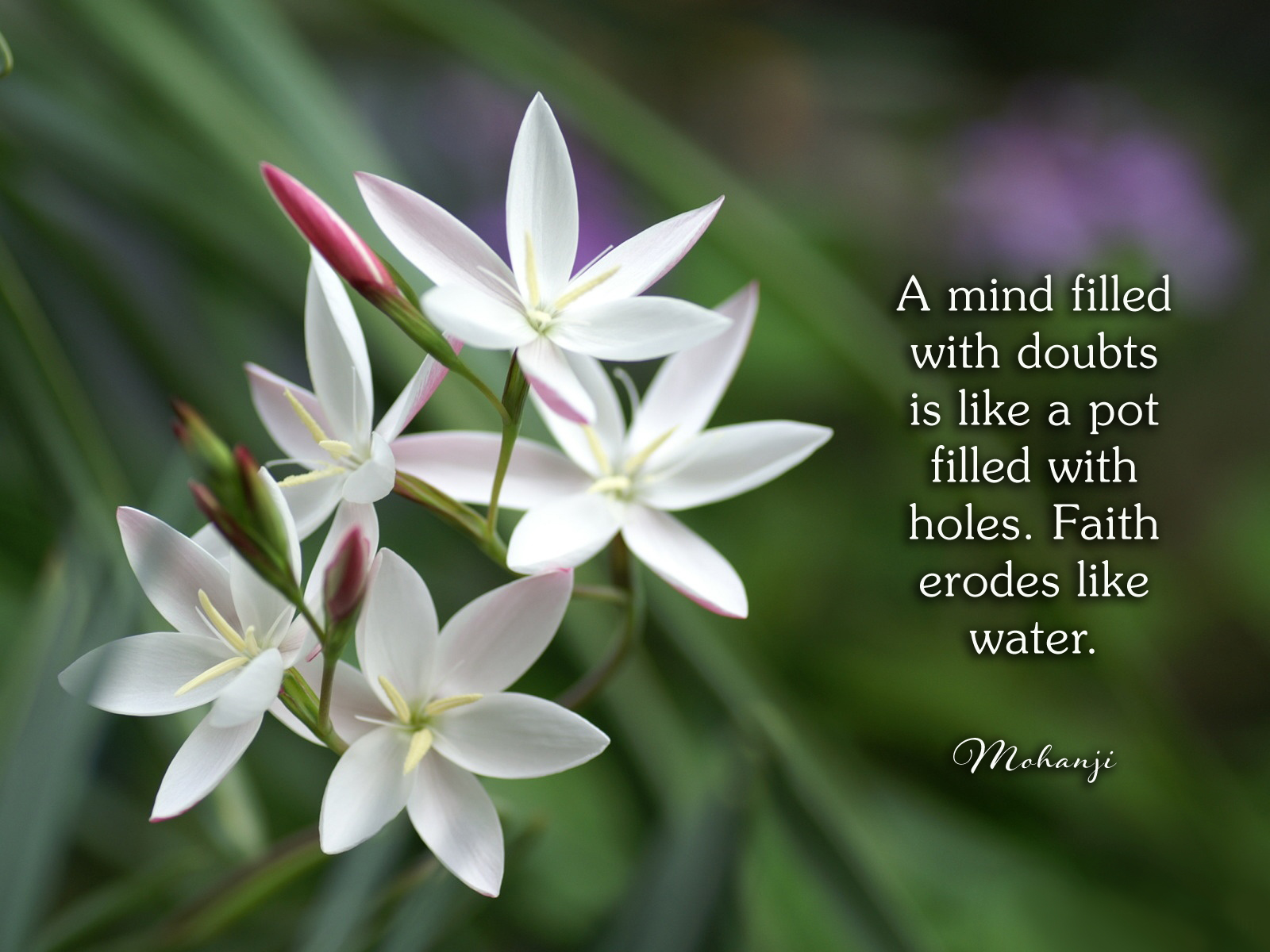 Mohanji quote - A mind filled with doubts