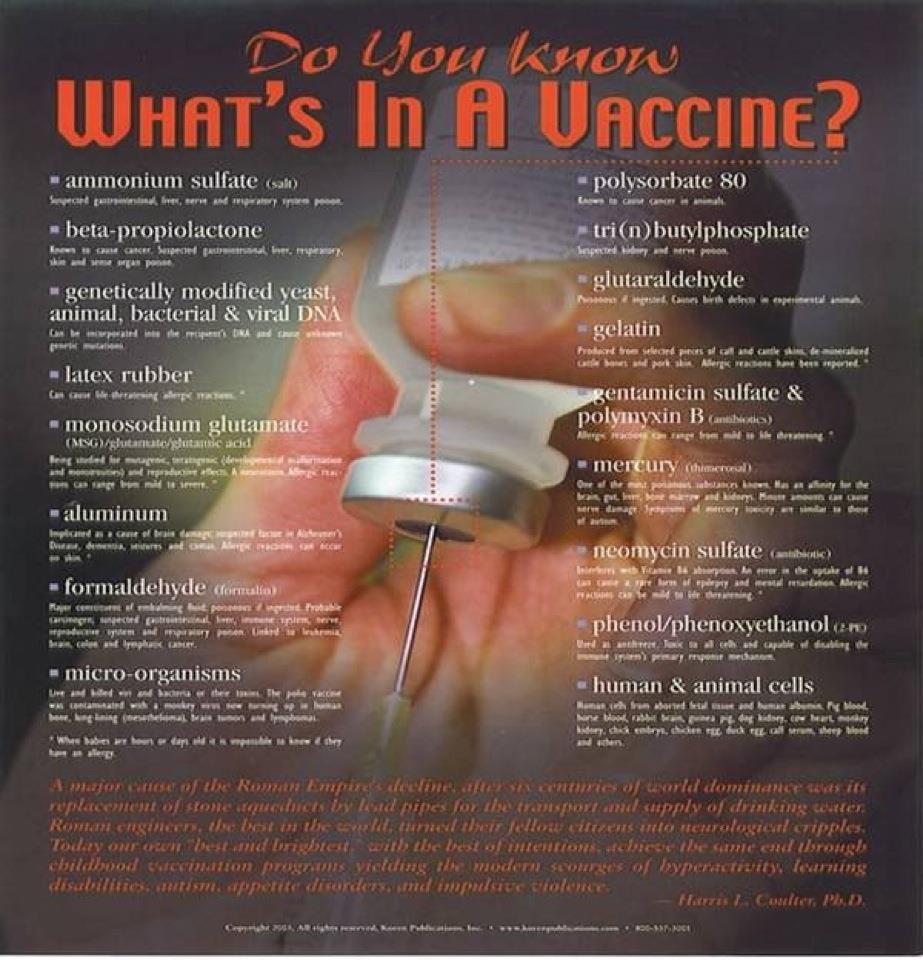 What's In a Vaccine