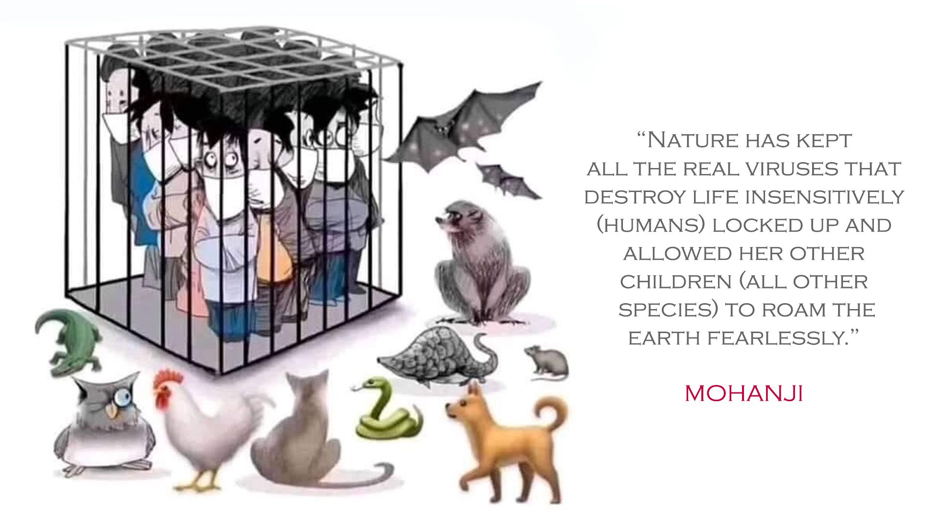 Humans in the cage, animals free - covid19 - Mohanji quote