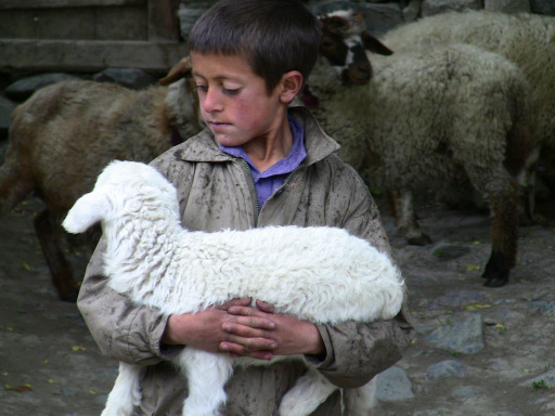 A boy carrying a lamb