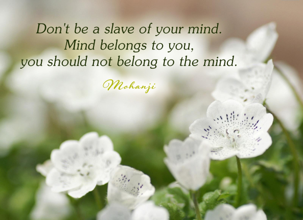 Don't be a salve of your mind. Mind belongs to you, you should not belong to the mind.
-Mohanji