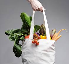 bag full of groceries