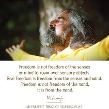 What is freedom?