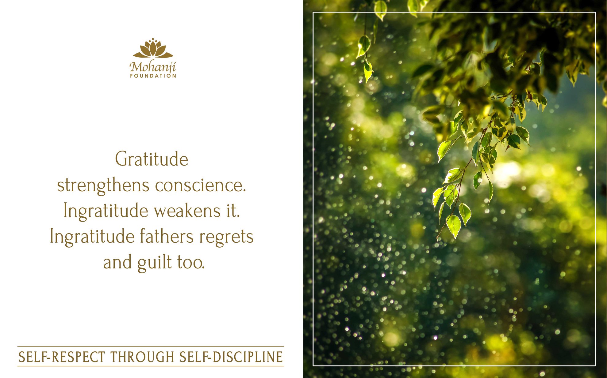 Gratitude strengthens conscience.
Ingratitude weakens it. Ingratitude fathers regrets and guilt too. -Mohanji