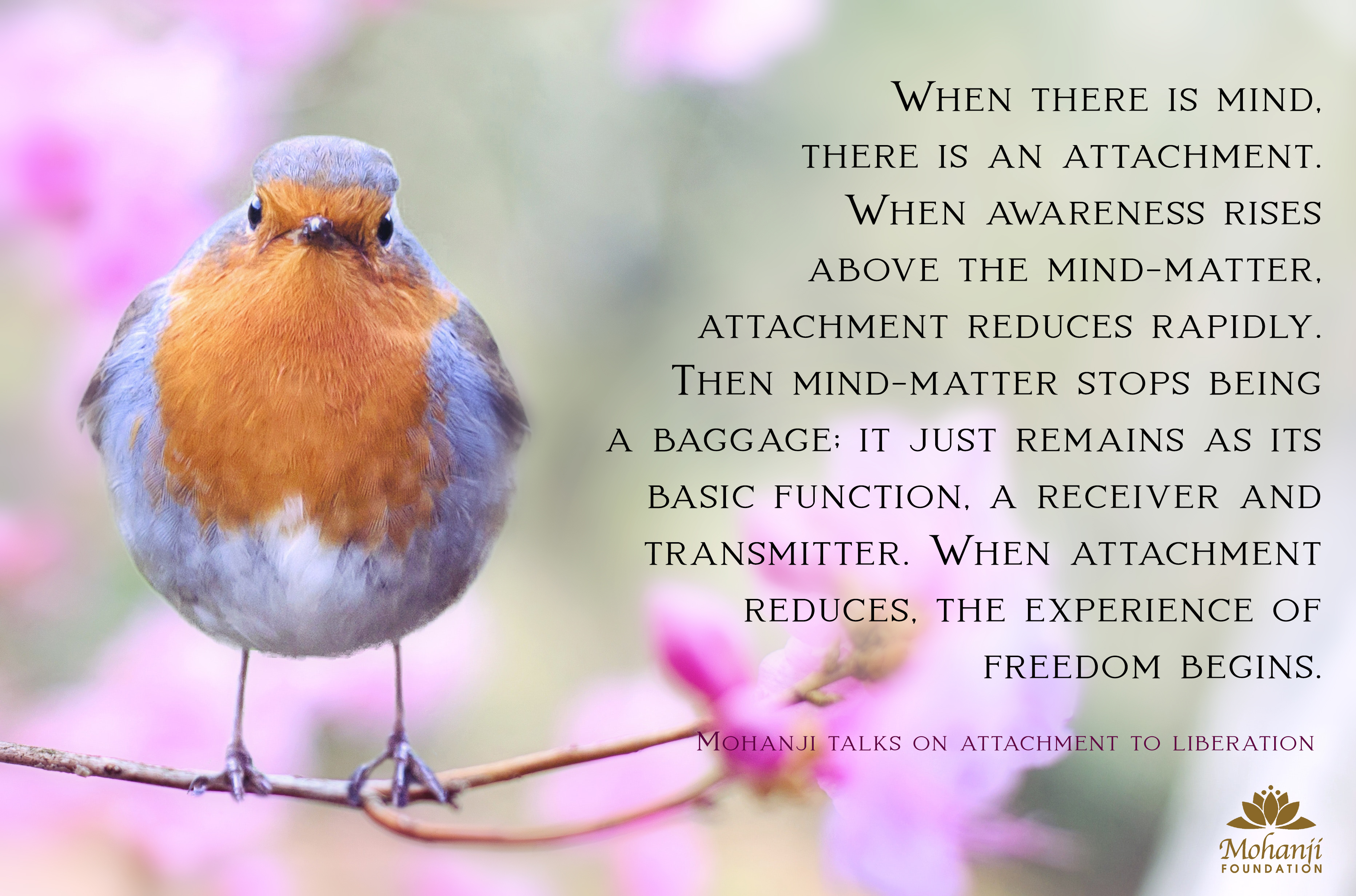 WHEN THERE IS MIND, THERE IS AN ATTACHMENT.
WHEN AWARENESS RISES ABOVE THE MIND-MATTER, ATTACHMENT REDUCES RAPIDLY.
THEN MIND-MATTER STOPS BEING A BAGGAGE. IT JUST REMANS AS ITS BASIC FUNCTION., A RECEIVER AND TRANSMITTER.
WHEN ATTACHMENT REDUCES, THE EXPERIENCE OF FREEDOM BEGINS."
-MOHANJI TALKS ON ATTACHMENT TO LIBERATION