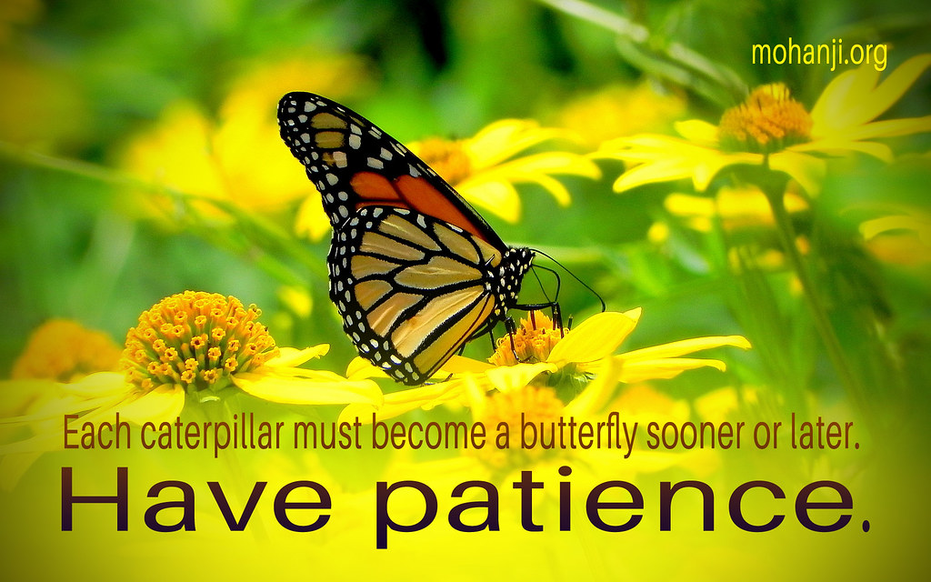 Each caterpillar must become a butterfly sooner or later.
Have patience.