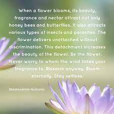 When a flower blooms, its beauty, fragrance and nectar attract not only honey bees and butterflies. It also attracts various types of insects and parasites. The flower delivers unattached without discrimination. This detachment increases the beauty of the flower.
Be the flower. Never worry to whom the wind takes your fragrance to.
Blossom anyway. Bloom eternally. Stay selfless.
-Brahmarishi Mohanji