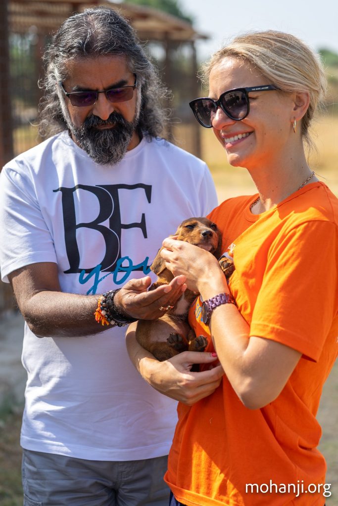 Mohanji - humanitarian and a spiritual leader, a friend of the world - charity at a dog shelter in Montenegro, ACT Foundation